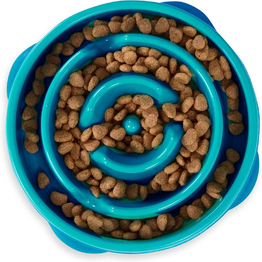 Fun Feeder Slo Bowl – Medium 2‑Cup Capacity, Slow Feeding, Small to Medium Dogs & Cats, Non-Slip, Turquoise, Drop Pattern