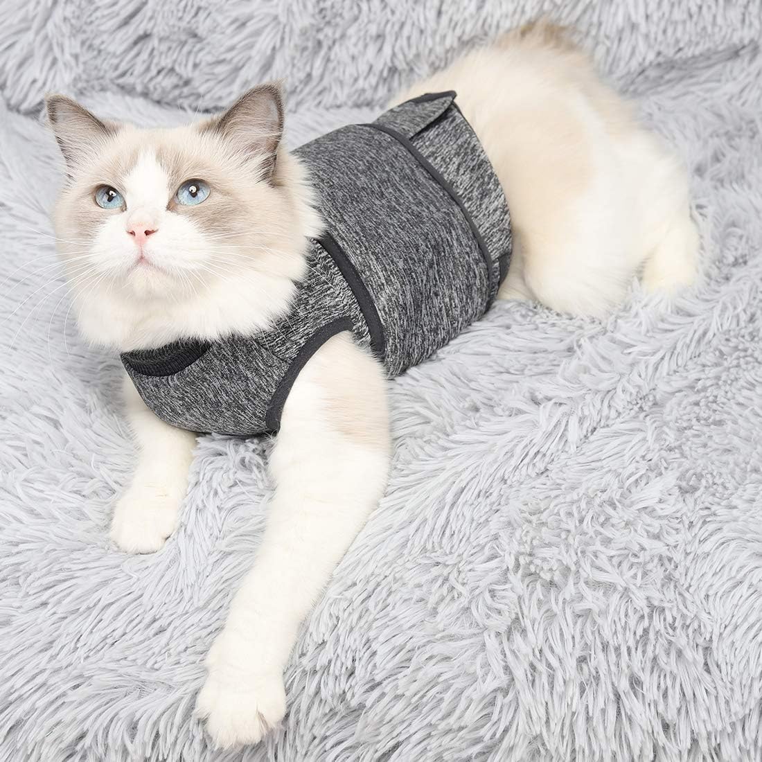 Calm Your Cat with the Vet-Recommended Anxiety Jacket - Perfect for Fireworks, Travel, and More!