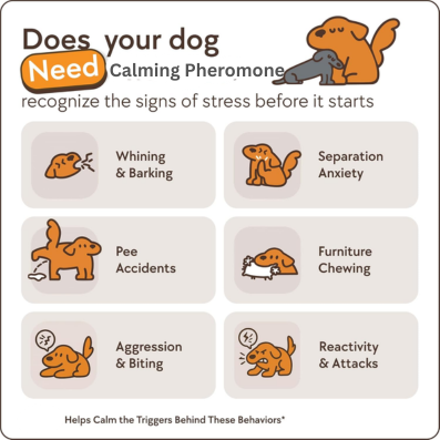 30-Day Dog Calming Diffuser - for Stress, Destructive Behaviour, Pee Accidents, Separation Anxiety, Barking, Aggression & Chewing