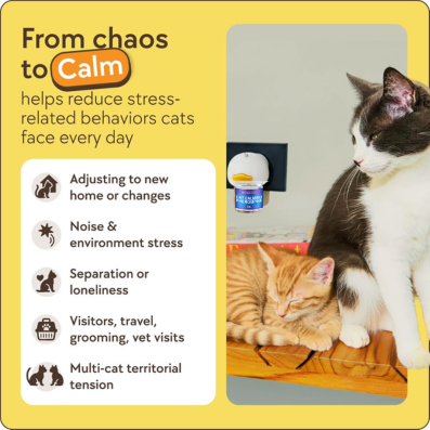 Transform Your Cat's Life with Our 30-Day Calming Diffuser - Effective Stress Relief for Spraying, Fighting, and Excessive Meowing